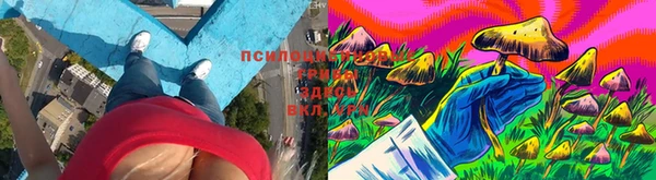 спайс Армянск